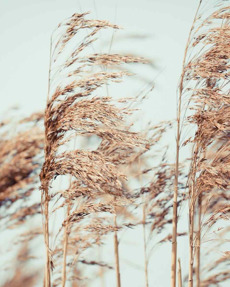 https://9horo.com/wp-content/uploads/2018/04/post_11-960x1200.jpg