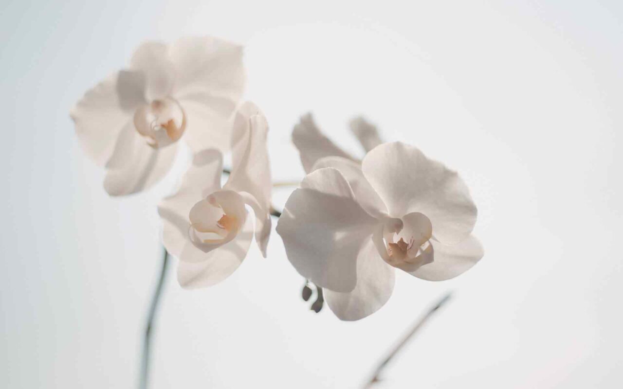 https://9horo.com/wp-content/uploads/2018/05/post_24-1280x800.jpg